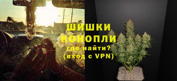 крисы Арсеньев