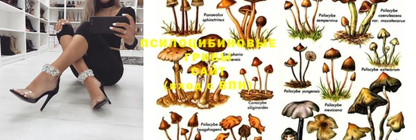 jwh Аркадак