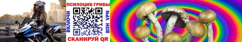 Галлюциногенные грибы GOLDEN TEACHER  ОМГ ОМГ зеркало  Бавлы 